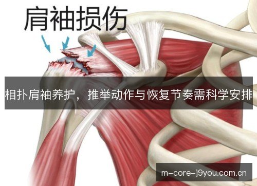 相扑肩袖养护,推举动作与恢复节奏需科学安排 相扑肩袖养护,推举动作与恢复节奏需科学安排
