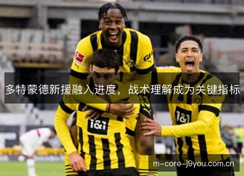 多特蒙德新援融入进度，战术理解成为关键指标